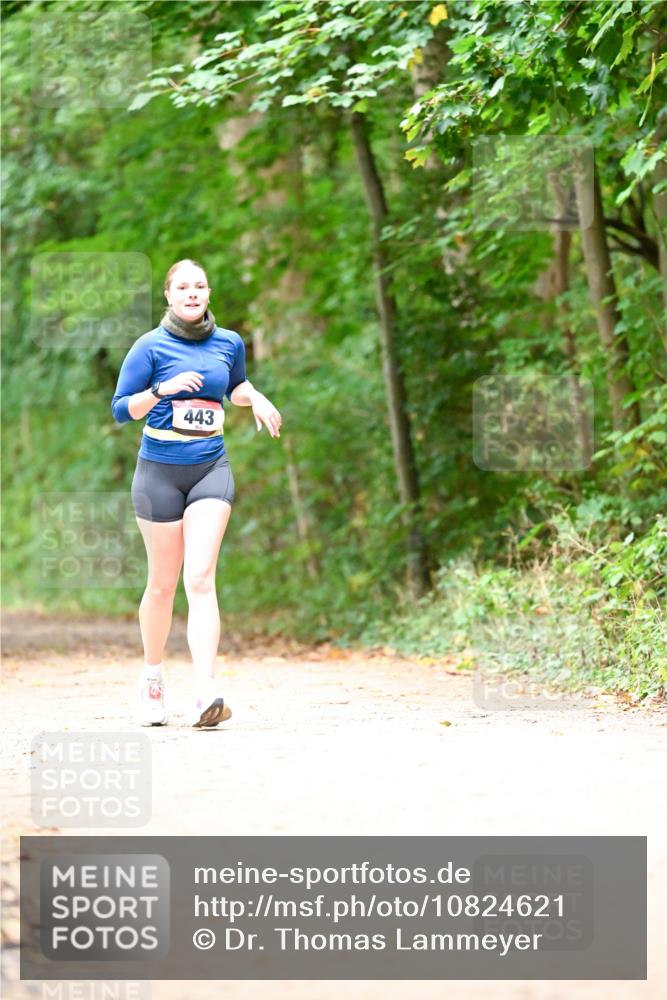 11.10.2026 - Bramfelder Halbmarathon 2026 Dr. Thomas Lammeyer http://msf.ph/oto/10824621 11.10.2026 10:44:01 Laufen 443 meine-sportfotos.de