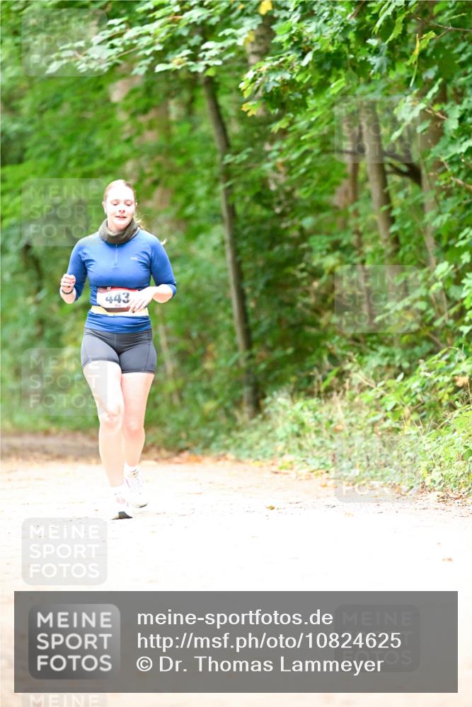 11.10.2026 - Bramfelder Halbmarathon 2026 Dr. Thomas Lammeyer http://msf.ph/oto/10824625 11.10.2026 10:44:02 Laufen 443 meine-sportfotos.de