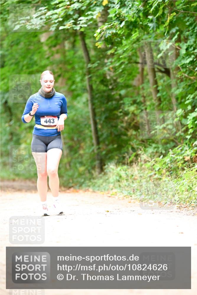 11.10.2026 - Bramfelder Halbmarathon 2026 Dr. Thomas Lammeyer http://msf.ph/oto/10824626 11.10.2026 10:44:02 Laufen 443 meine-sportfotos.de