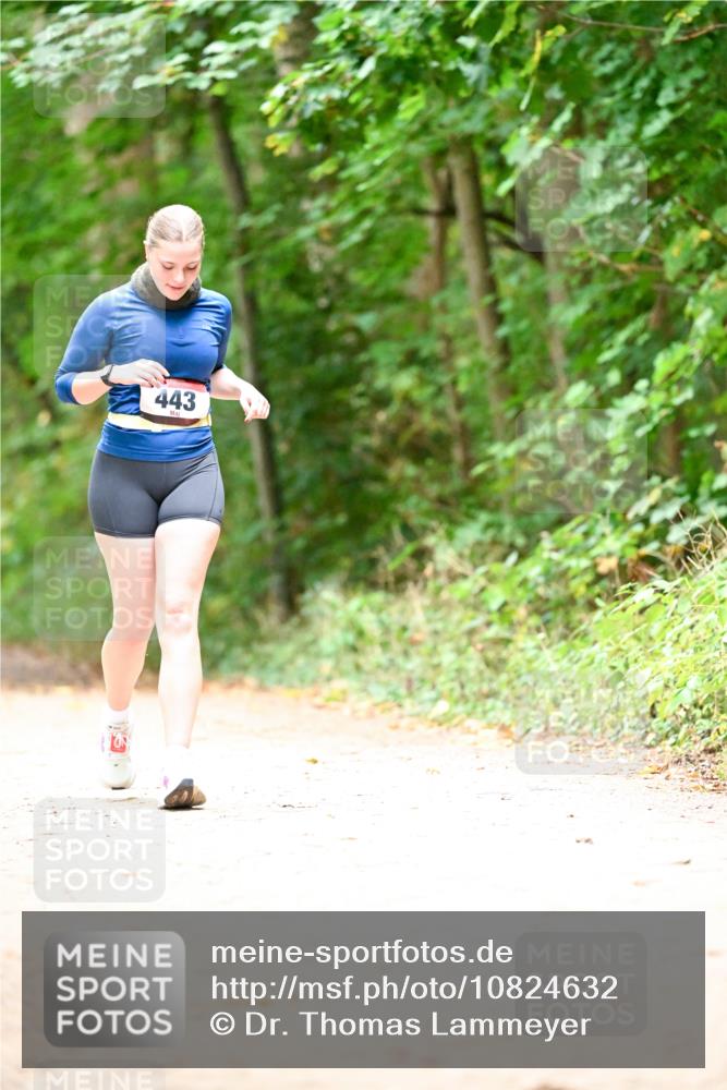 11.10.2026 - Bramfelder Halbmarathon 2026 Dr. Thomas Lammeyer http://msf.ph/oto/10824632 11.10.2026 10:44:03 Laufen 443 meine-sportfotos.de