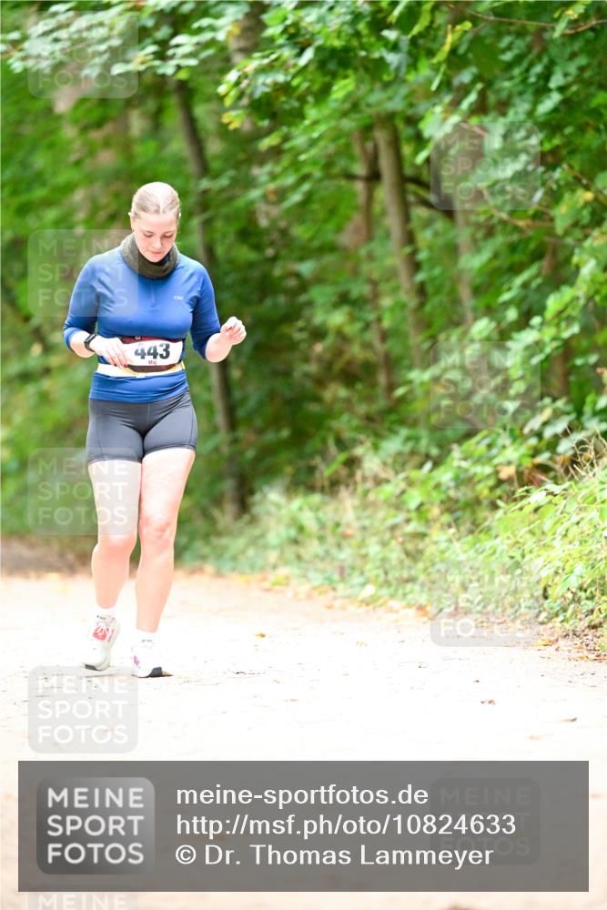 11.10.2026 - Bramfelder Halbmarathon 2026 Dr. Thomas Lammeyer http://msf.ph/oto/10824633 11.10.2026 10:44:03 Laufen 443 meine-sportfotos.de