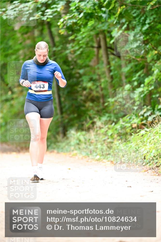 11.10.2026 - Bramfelder Halbmarathon 2026 Dr. Thomas Lammeyer http://msf.ph/oto/10824634 11.10.2026 10:44:03 Laufen 443 meine-sportfotos.de