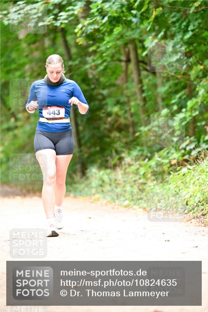 11.10.2026 - Bramfelder Halbmarathon 2026 Dr. Thomas Lammeyer http://msf.ph/oto/10824635 11.10.2026 10:44:03 Laufen 443 meine-sportfotos.de