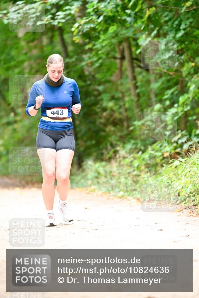 11.10.2026 - Bramfelder Halbmarathon 2026 Dr. Thomas Lammeyer http://msf.ph/oto/10824636 11.10.2026 10:44:04 Laufen 443 meine-sportfotos.de