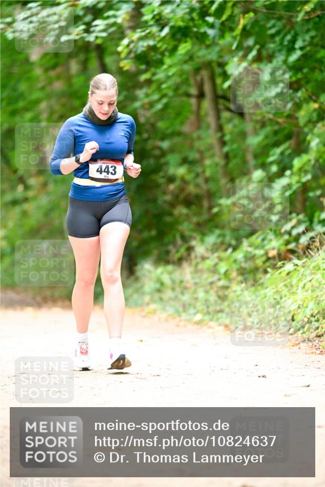 11.10.2026 - Bramfelder Halbmarathon 2026 Dr. Thomas Lammeyer http://msf.ph/oto/10824637 11.10.2026 10:44:04 Laufen 443 meine-sportfotos.de