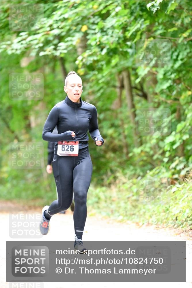 11.10.2026 - Bramfelder Halbmarathon 2026 Dr. Thomas Lammeyer http://msf.ph/oto/10824750 11.10.2026 10:45:10 Laufen 3, 526 meine-sportfotos.de