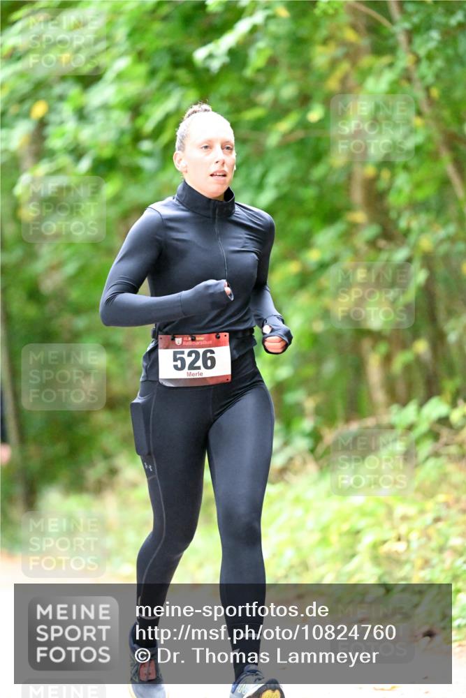 11.10.2026 - Bramfelder Halbmarathon 2026 Dr. Thomas Lammeyer http://msf.ph/oto/10824760 11.10.2026 10:45:12 Laufen 526 meine-sportfotos.de