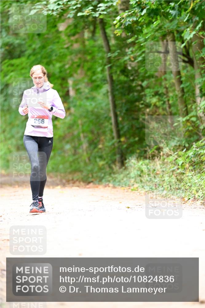 11.10.2026 - Bramfelder Halbmarathon 2026 Dr. Thomas Lammeyer http://msf.ph/oto/10824836 11.10.2026 10:45:45 Laufen 266 meine-sportfotos.de