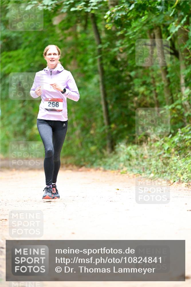 11.10.2026 - Bramfelder Halbmarathon 2026 Dr. Thomas Lammeyer http://msf.ph/oto/10824841 11.10.2026 10:45:46 Laufen 266, 6 meine-sportfotos.de