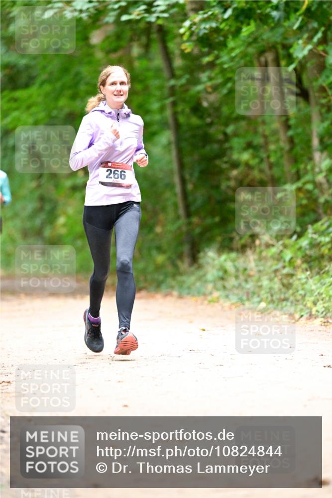 11.10.2026 - Bramfelder Halbmarathon 2026 Dr. Thomas Lammeyer http://msf.ph/oto/10824844 11.10.2026 10:45:47 Laufen 266 meine-sportfotos.de
