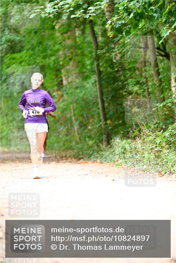 11.10.2026 - Bramfelder Halbmarathon 2026 Dr. Thomas Lammeyer http://msf.ph/oto/10824897 11.10.2026 10:46:17 Laufen 470 meine-sportfotos.de