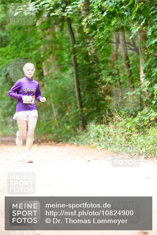 11.10.2026 - Bramfelder Halbmarathon 2026 Dr. Thomas Lammeyer http://msf.ph/oto/10824900 11.10.2026 10:46:18 Laufen  meine-sportfotos.de