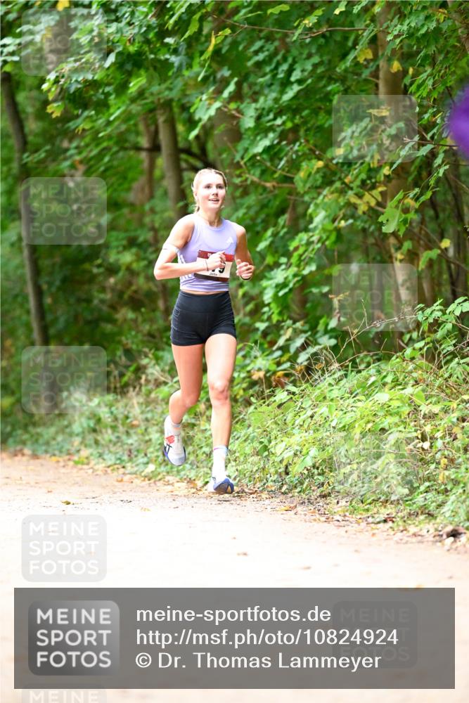 11.10.2026 - Bramfelder Halbmarathon 2026 Dr. Thomas Lammeyer http://msf.ph/oto/10824924 11.10.2026 10:46:22 Laufen  meine-sportfotos.de