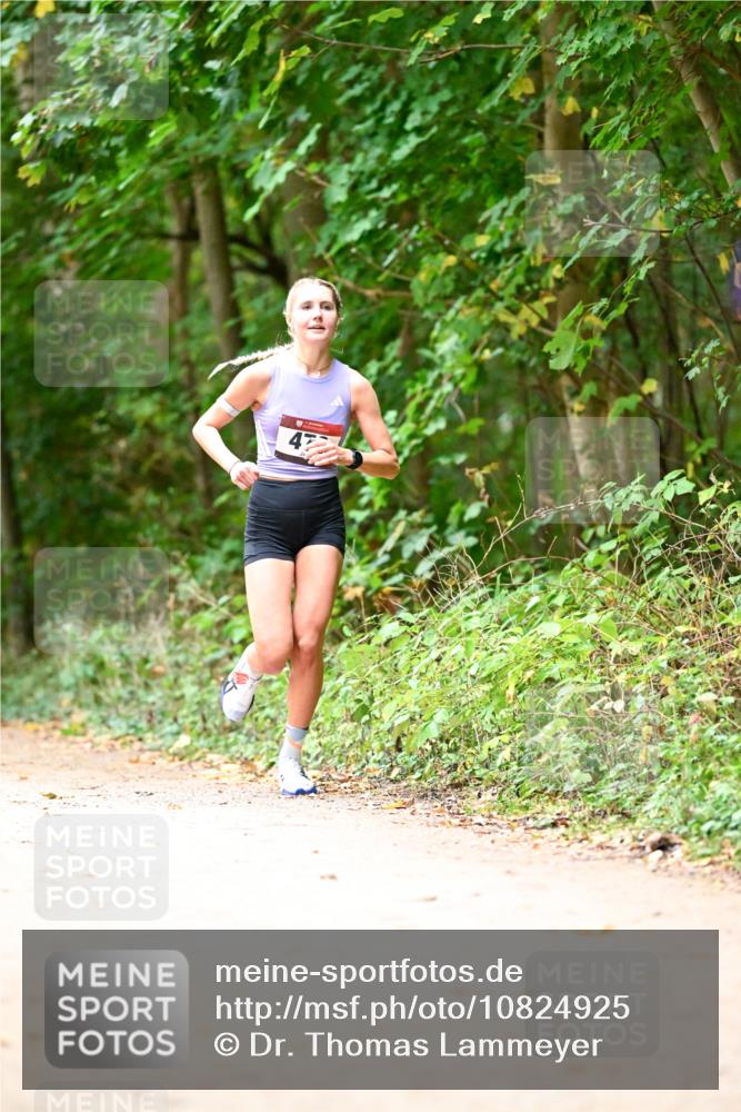 11.10.2026 - Bramfelder Halbmarathon 2026 Dr. Thomas Lammeyer http://msf.ph/oto/10824925 11.10.2026 10:46:22 Laufen 47 meine-sportfotos.de