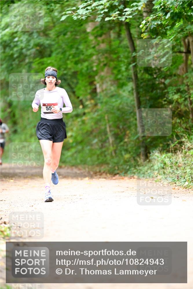11.10.2026 - Bramfelder Halbmarathon 2026 Dr. Thomas Lammeyer http://msf.ph/oto/10824943 11.10.2026 10:46:47 Laufen 55 meine-sportfotos.de