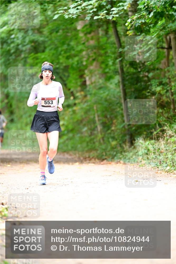 11.10.2026 - Bramfelder Halbmarathon 2026 Dr. Thomas Lammeyer http://msf.ph/oto/10824944 11.10.2026 10:46:47 Laufen 553 meine-sportfotos.de