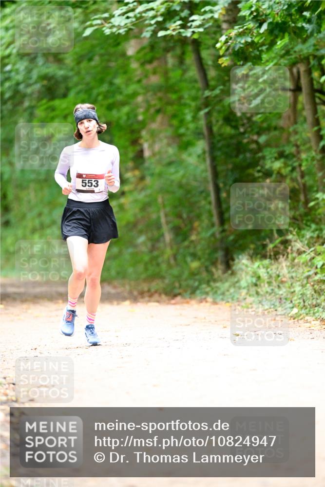 11.10.2026 - Bramfelder Halbmarathon 2026 Dr. Thomas Lammeyer http://msf.ph/oto/10824947 11.10.2026 10:46:48 Laufen 553 meine-sportfotos.de