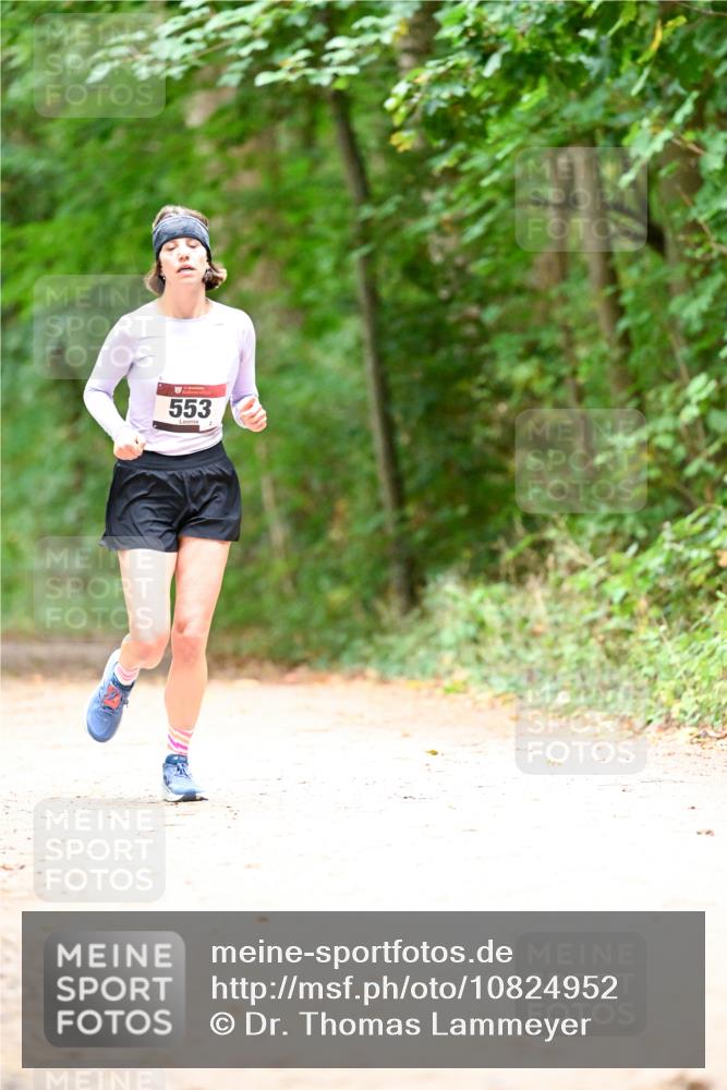 11.10.2026 - Bramfelder Halbmarathon 2026 Dr. Thomas Lammeyer http://msf.ph/oto/10824952 11.10.2026 10:46:48 Laufen 553 meine-sportfotos.de