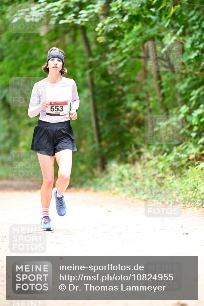 11.10.2026 - Bramfelder Halbmarathon 2026 Dr. Thomas Lammeyer http://msf.ph/oto/10824955 11.10.2026 10:46:49 Laufen 553 meine-sportfotos.de