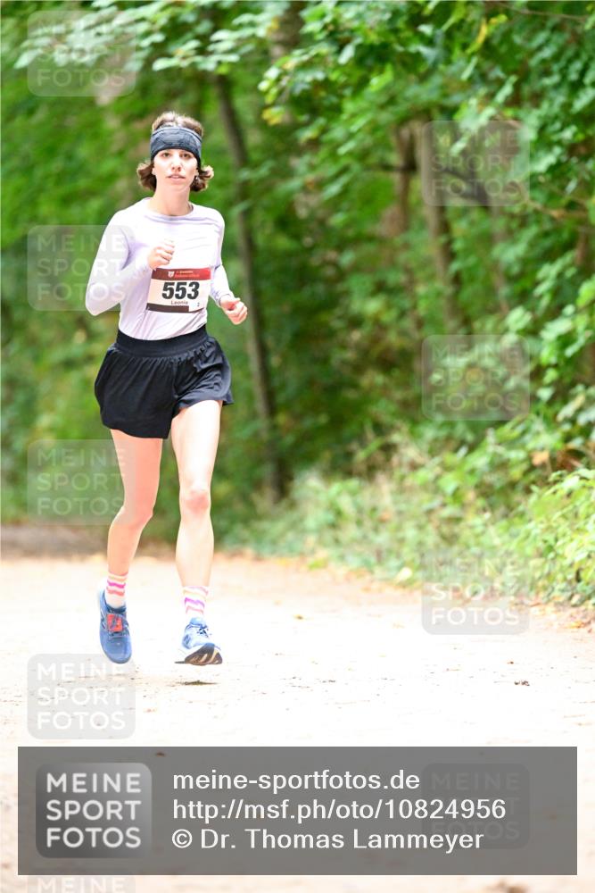 11.10.2026 - Bramfelder Halbmarathon 2026 Dr. Thomas Lammeyer http://msf.ph/oto/10824956 11.10.2026 10:46:49 Laufen 553 meine-sportfotos.de