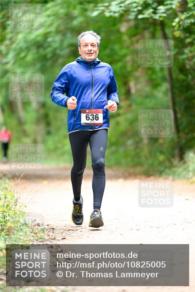 11.10.2026 - Bramfelder Halbmarathon 2026 Dr. Thomas Lammeyer http://msf.ph/oto/10825005 11.10.2026 10:47:02 Laufen 636 meine-sportfotos.de