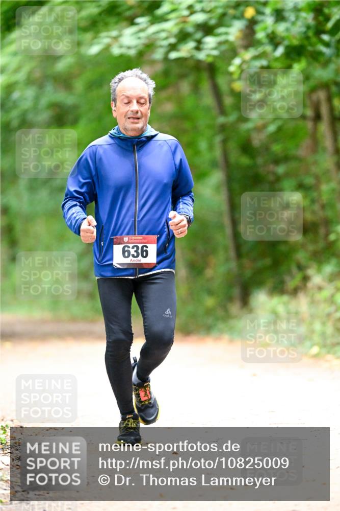 11.10.2026 - Bramfelder Halbmarathon 2026 Dr. Thomas Lammeyer http://msf.ph/oto/10825009 11.10.2026 10:47:02 Laufen 35, 636 meine-sportfotos.de