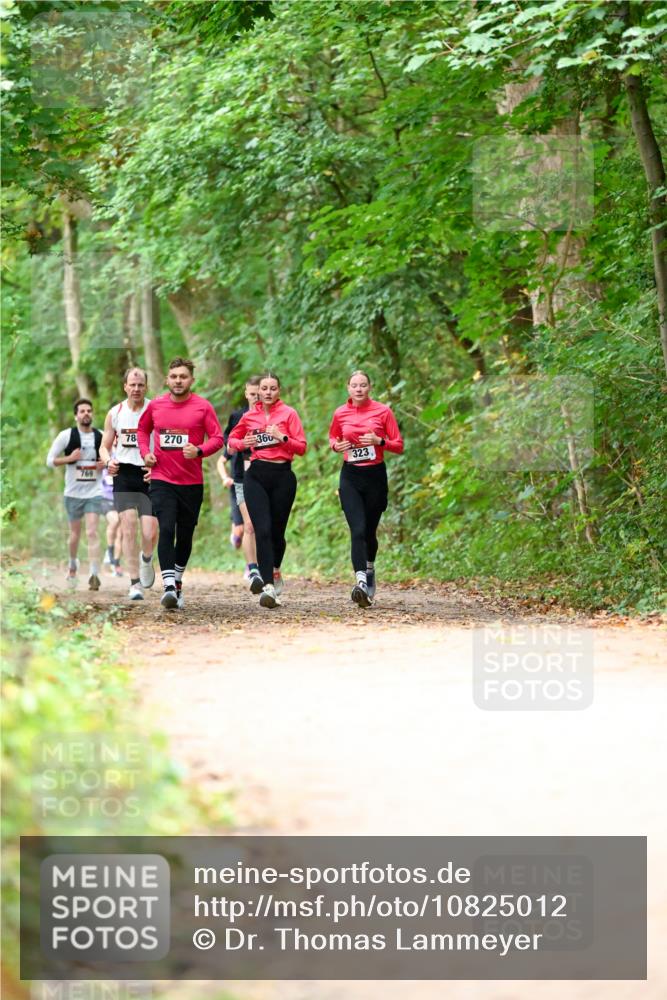 11.10.2026 - Bramfelder Halbmarathon 2026 Dr. Thomas Lammeyer http://msf.ph/oto/10825012 11.10.2026 10:47:12 Laufen 69, 769, 78, 270, 360, 323 meine-sportfotos.de