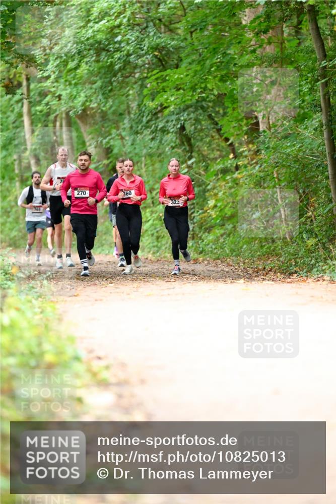 11.10.2026 - Bramfelder Halbmarathon 2026 Dr. Thomas Lammeyer http://msf.ph/oto/10825013 11.10.2026 10:47:12 Laufen 769, 270, 360, 323 meine-sportfotos.de