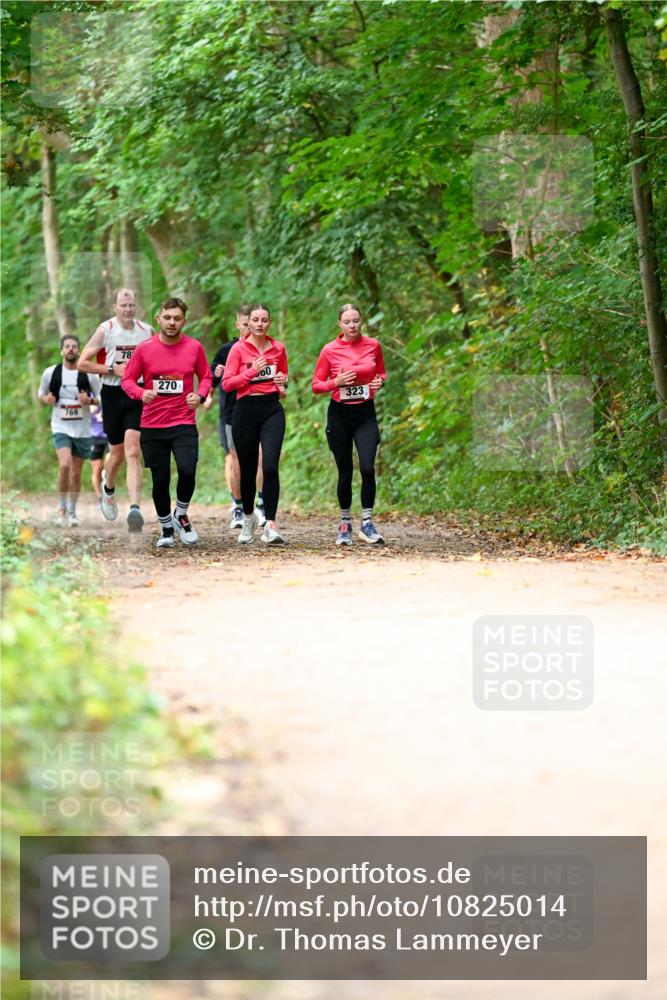 11.10.2026 - Bramfelder Halbmarathon 2026 Dr. Thomas Lammeyer http://msf.ph/oto/10825014 11.10.2026 10:47:12 Laufen 769, 78, 270, 60, 323 meine-sportfotos.de