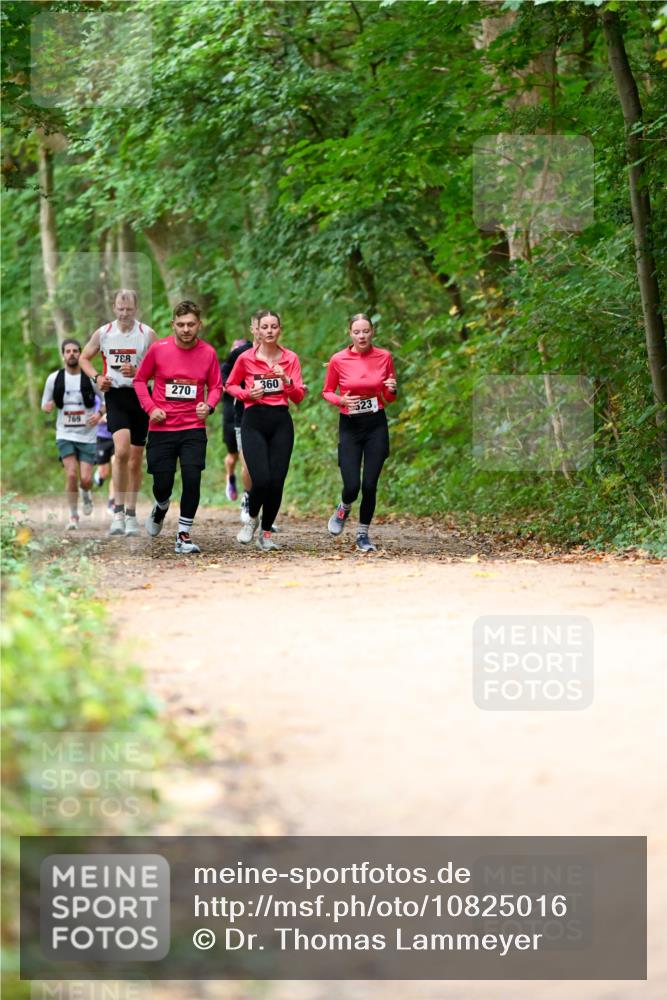 11.10.2026 - Bramfelder Halbmarathon 2026 Dr. Thomas Lammeyer http://msf.ph/oto/10825016 11.10.2026 10:47:12 Laufen 769, 788, 270, 360, 23 meine-sportfotos.de