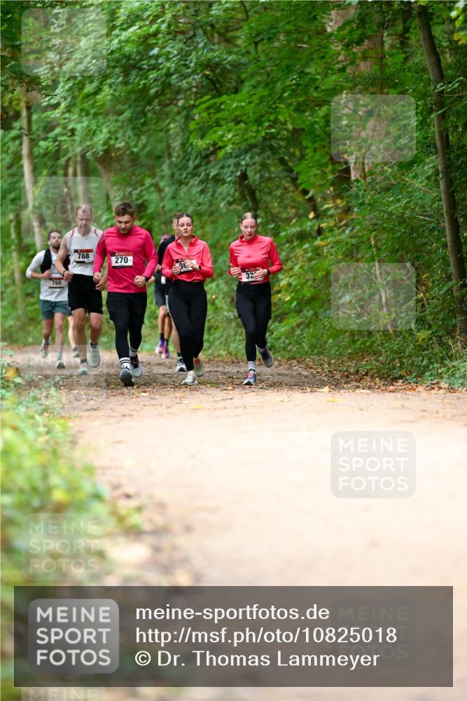 11.10.2026 - Bramfelder Halbmarathon 2026 Dr. Thomas Lammeyer http://msf.ph/oto/10825018 11.10.2026 10:47:13 Laufen 788, 270, 32 meine-sportfotos.de