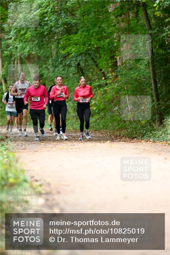 11.10.2026 - Bramfelder Halbmarathon 2026 Dr. Thomas Lammeyer http://msf.ph/oto/10825019 11.10.2026 10:47:13 Laufen 769, 788, 270, 360, 323 meine-sportfotos.de