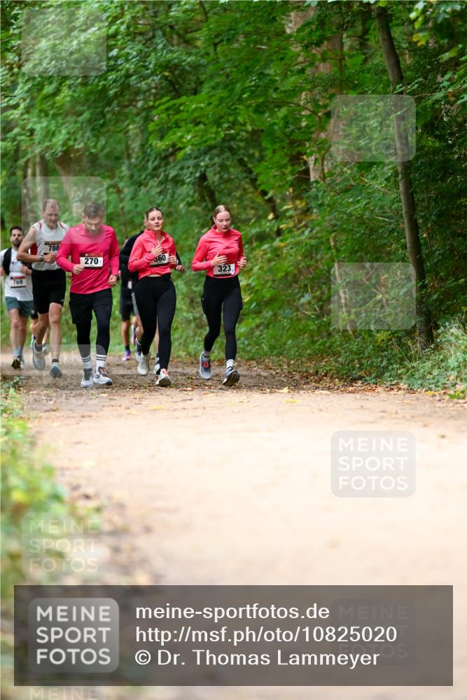 11.10.2026 - Bramfelder Halbmarathon 2026 Dr. Thomas Lammeyer http://msf.ph/oto/10825020 11.10.2026 10:47:13 Laufen 769, 788, 270, 360, 323 meine-sportfotos.de