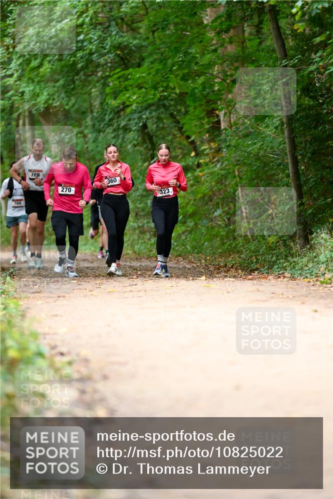 11.10.2026 - Bramfelder Halbmarathon 2026 Dr. Thomas Lammeyer http://msf.ph/oto/10825022 11.10.2026 10:47:13 Laufen 769, 788, 270, 360, 323 meine-sportfotos.de