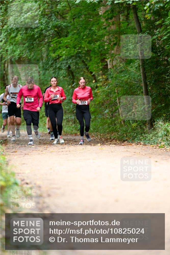 11.10.2026 - Bramfelder Halbmarathon 2026 Dr. Thomas Lammeyer http://msf.ph/oto/10825024 11.10.2026 10:47:14 Laufen 788, 270, 323 meine-sportfotos.de