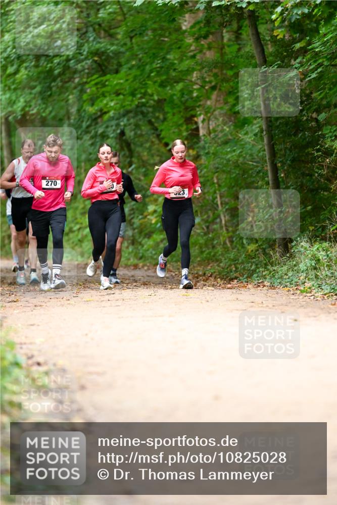11.10.2026 - Bramfelder Halbmarathon 2026 Dr. Thomas Lammeyer http://msf.ph/oto/10825028 11.10.2026 10:47:14 Laufen 270, 23 meine-sportfotos.de