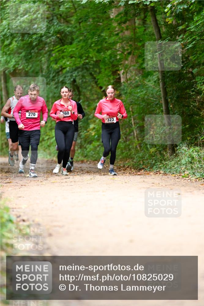 11.10.2026 - Bramfelder Halbmarathon 2026 Dr. Thomas Lammeyer http://msf.ph/oto/10825029 11.10.2026 10:47:15 Laufen 270, 360, 323 meine-sportfotos.de