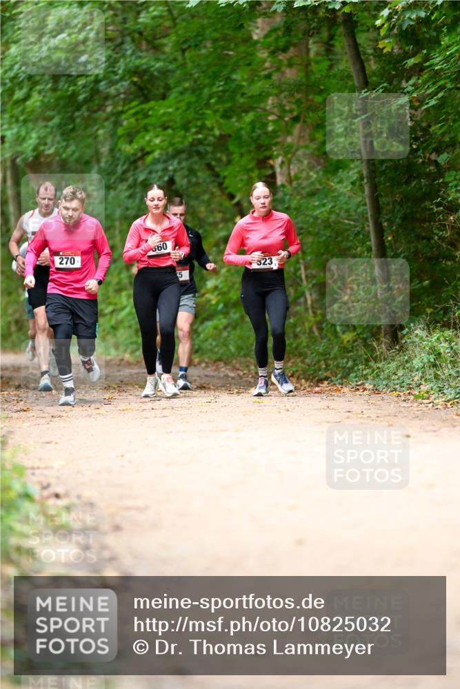 11.10.2026 - Bramfelder Halbmarathon 2026 Dr. Thomas Lammeyer http://msf.ph/oto/10825032 11.10.2026 10:47:15 Laufen 270, 560, 5, 523 meine-sportfotos.de