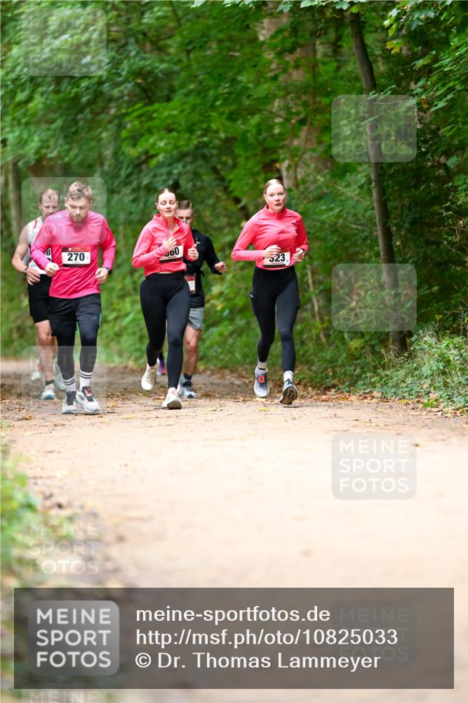 11.10.2026 - Bramfelder Halbmarathon 2026 Dr. Thomas Lammeyer http://msf.ph/oto/10825033 11.10.2026 10:47:15 Laufen 270, 00, 323 meine-sportfotos.de