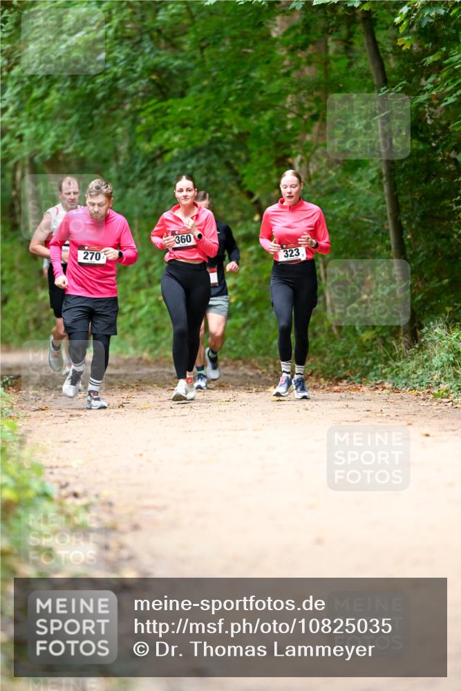 11.10.2026 - Bramfelder Halbmarathon 2026 Dr. Thomas Lammeyer http://msf.ph/oto/10825035 11.10.2026 10:47:15 Laufen 270, 360, 323 meine-sportfotos.de