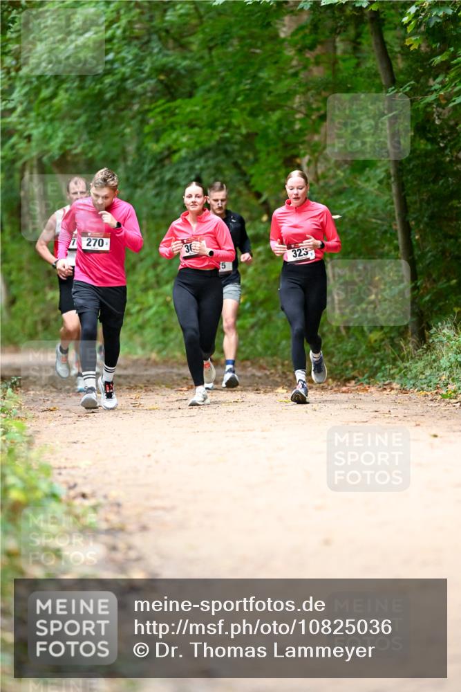 11.10.2026 - Bramfelder Halbmarathon 2026 Dr. Thomas Lammeyer http://msf.ph/oto/10825036 11.10.2026 10:47:16 Laufen 270, 5, 323 meine-sportfotos.de