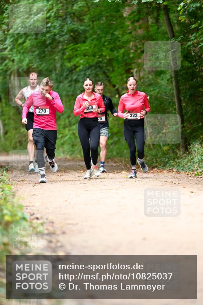 11.10.2026 - Bramfelder Halbmarathon 2026 Dr. Thomas Lammeyer http://msf.ph/oto/10825037 11.10.2026 10:47:16 Laufen 270, 360, 75, 323 meine-sportfotos.de