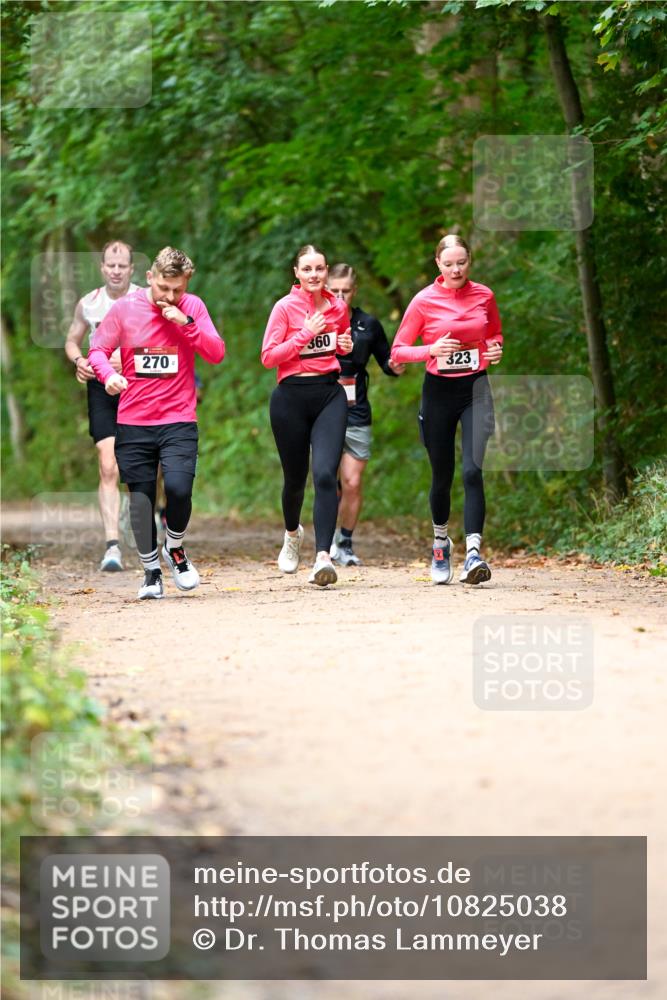 11.10.2026 - Bramfelder Halbmarathon 2026 Dr. Thomas Lammeyer http://msf.ph/oto/10825038 11.10.2026 10:47:16 Laufen 360, 270, 323 meine-sportfotos.de
