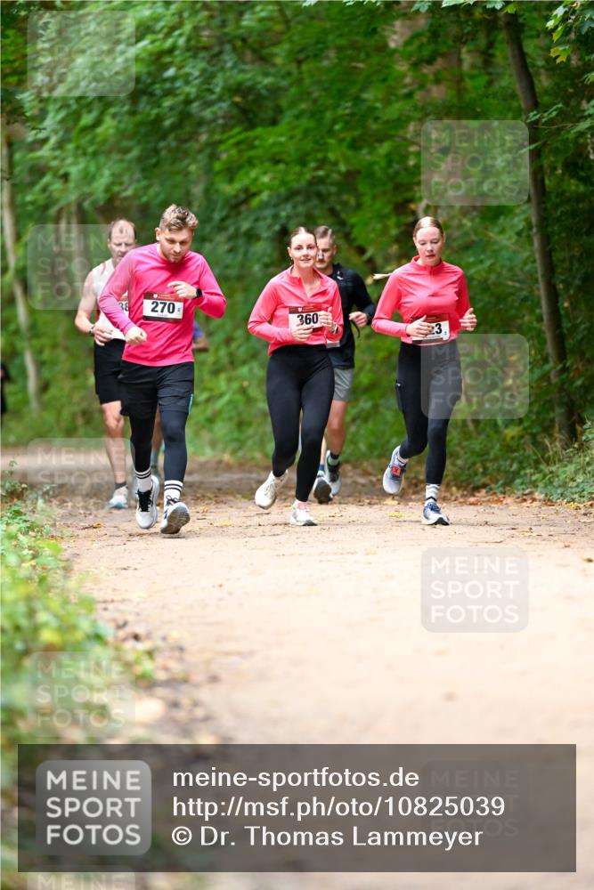 11.10.2026 - Bramfelder Halbmarathon 2026 Dr. Thomas Lammeyer http://msf.ph/oto/10825039 11.10.2026 10:47:16 Laufen 270, 360 meine-sportfotos.de