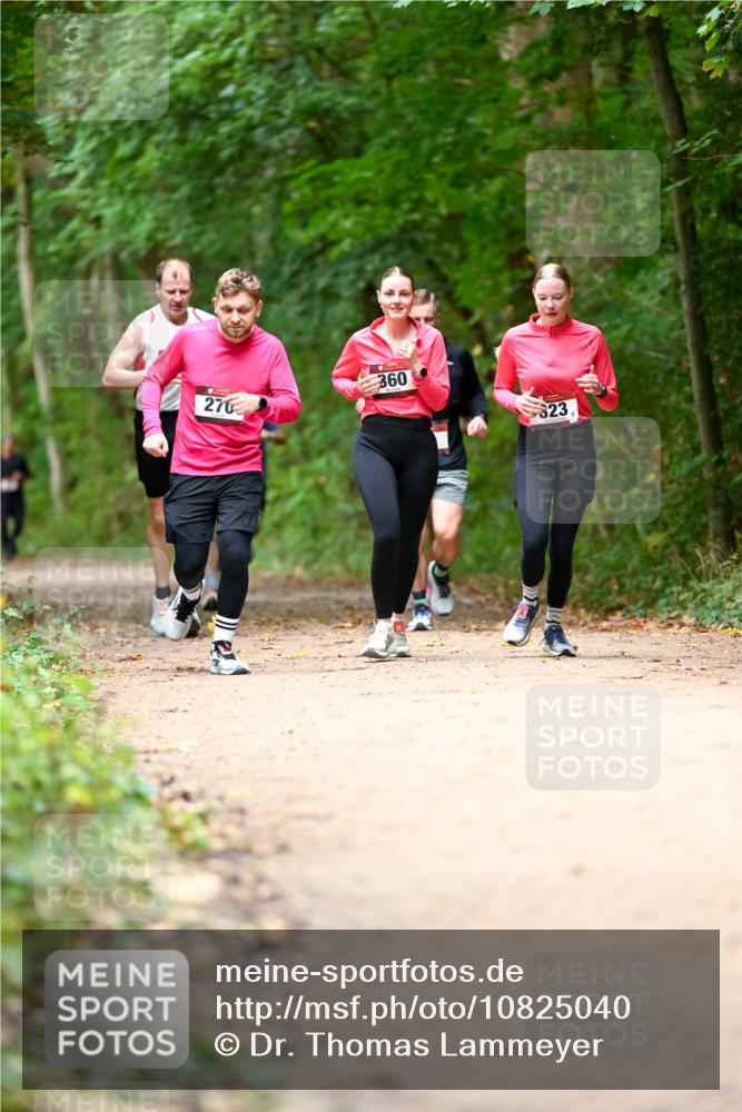 11.10.2026 - Bramfelder Halbmarathon 2026 Dr. Thomas Lammeyer http://msf.ph/oto/10825040 11.10.2026 10:47:16 Laufen 270, 360, 323 meine-sportfotos.de