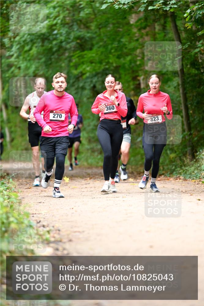 11.10.2026 - Bramfelder Halbmarathon 2026 Dr. Thomas Lammeyer http://msf.ph/oto/10825043 11.10.2026 10:47:17 Laufen 270, 360, 323 meine-sportfotos.de