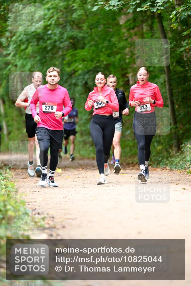 11.10.2026 - Bramfelder Halbmarathon 2026 Dr. Thomas Lammeyer http://msf.ph/oto/10825044 11.10.2026 10:47:17 Laufen 270, 360, 5, 323 meine-sportfotos.de