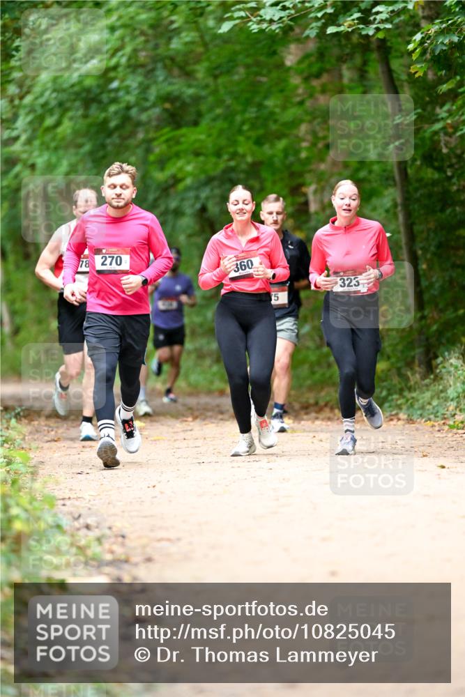 11.10.2026 - Bramfelder Halbmarathon 2026 Dr. Thomas Lammeyer http://msf.ph/oto/10825045 11.10.2026 10:47:17 Laufen 78, 270, 360, 75, 323 meine-sportfotos.de