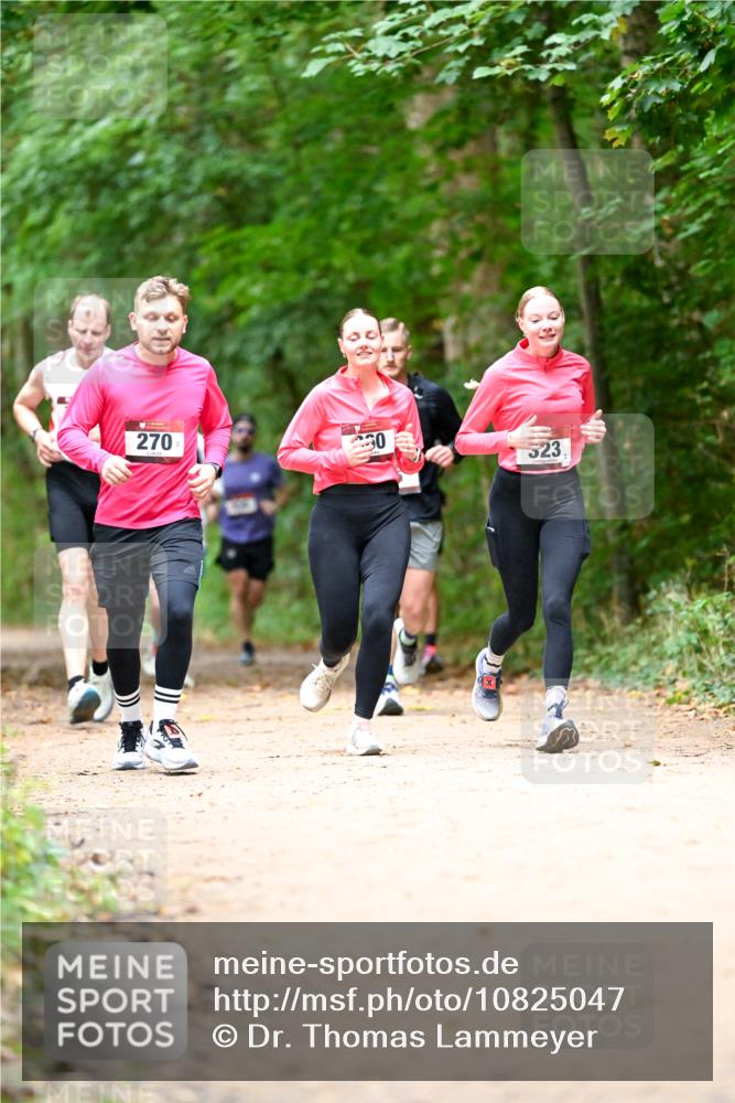 11.10.2026 - Bramfelder Halbmarathon 2026 Dr. Thomas Lammeyer http://msf.ph/oto/10825047 11.10.2026 10:47:17 Laufen 270, 30, 323 meine-sportfotos.de