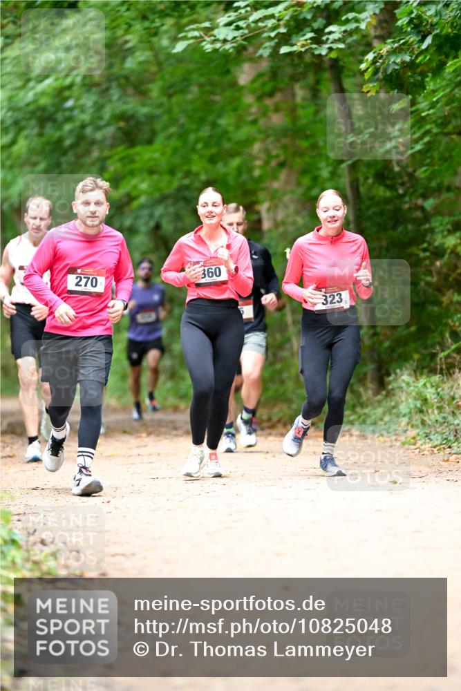 11.10.2026 - Bramfelder Halbmarathon 2026 Dr. Thomas Lammeyer http://msf.ph/oto/10825048 11.10.2026 10:47:17 Laufen 270, 360, 323 meine-sportfotos.de